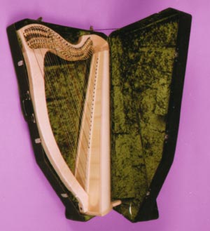 A sample harp case